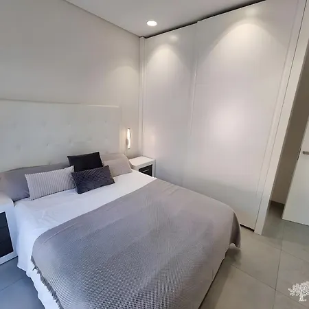 Tipuana 7 * Orihuela